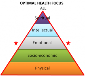 Optimal Health - All_diagram